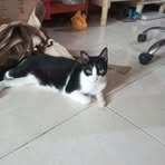 Ruben Sena - Facebook