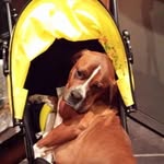 Sullivan Ruben - @ruben.eric.sullivan.585112 - Instagram