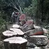 Ruben Toro - @ruben.toro801 - TikTok