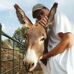 Rubén Vidal - @rubeenvidal - Instagram