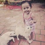 Ruben vidal noguera gomez - @rubenvidalnoguera - Instagram