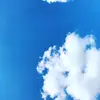 ruben.vidal - @ruben.vidal112 - TikTok