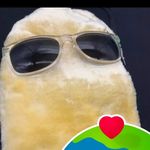 Ruben Yang - @rubenyang2008 - Instagram