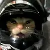 rubi_galindo_ - @rubi_galindo_ - TikTok
