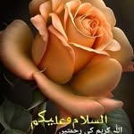 Rubina Badar - @rubinabadar62 - Instagram