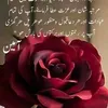 Noman baba - @rubina.ijaz78 - TikTok