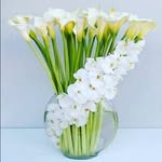 Rubina Ijaz - @rubina.ijaz.33 - Instagram