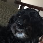 Ruby.Acton - @ruby.acton - Instagram