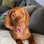 Ruby Rae Albertson - @ruby.rae.albertson - Instagram
