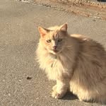 ruby - @rubyanderso.n - Instagram