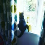 Ruby & Co. Ashby - @rube_honbug.arty - Instagram