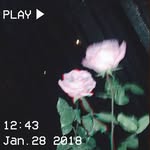 lil_bum23 - @rubyaugustasalazar - Instagram