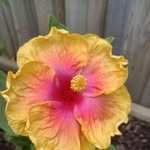 Ruby Augustine - @rubyaugustine75 - Instagram