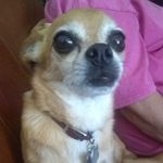 Ruby Baca - @ruby.baca.984 - Instagram