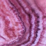 Ruby 🦂 - @rubybartlett - Instagram