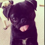 Ruby Bartley - @dance_cat123 - Instagram