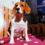 Ruby Baxter - @rubybaxter5 - Instagram