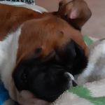 Ruby baxter - @rubybaxter219 - Instagram