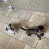 Ruby-Baxter-Otto152823 - @ruby_baxter_otto152833 - TikTok
