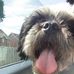 Ruby Bell - Facebook