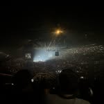 Ruby - @ruby_benjamin6 - Instagram