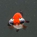 Ruby 🌙 - @rubyberry.183 - Instagram