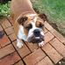 Ruby Berry - Facebook