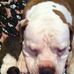 Ruby Bidwell - Facebook