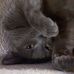 Ruby Bidwell-Kroske - Facebook