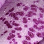 ❤️ Ruby ❤️ - @ruby._.bird - Instagram