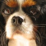 Ruby Bird - @ruby.bird.56 - Instagram