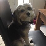 Ruby Bird - @rubinator_14 - Instagram