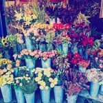 ruby & bloom - @ruby_and_bloom - Instagram