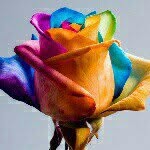 @rubybloom - Instagram