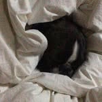 Ruby 🤍 - @boston_ruby_ - Instagram