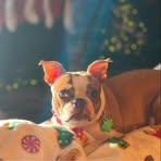 Ruby Boston - Facebook