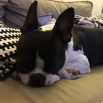 Ruby_Charlotte - @ruby_charlotte_boston - Instagram