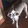 ruby_rose_the_boston - @rubyrose_11_9 - TikTok