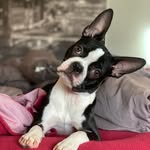Ruby - @rubydaboston - Instagram
