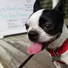 Ruby🥴 - @rubytheboston - TikTok