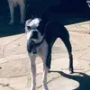 ruby - @rubythebostonn - TikTok