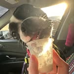 𝚁𝚞𝚋𝚢 𝚃𝚑𝚎 𝙱𝚘𝚜𝚝𝚘𝚗 - @rutheboston - Instagram