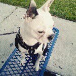 RubyBoston - @ruby_da_boston - Instagram