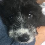 Ruby: Photography Acc - @ruby.bradshaw_ryan2 - Instagram