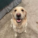 ruby danielle - @_rubybranch - Instagram