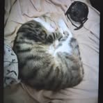 Ruby Bryan - Facebook