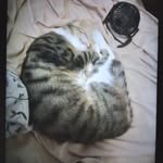 Ruby Bryan - @rubybryan25 - Instagram