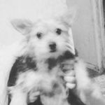 Ruby - @rubycabral373 - Instagram