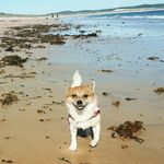 Ruby Rose Callahan - @rubyroseslife - Instagram