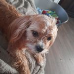 Ruby Cantrell - @daemoncantrell - Instagram